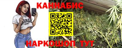 сатива Бузулук