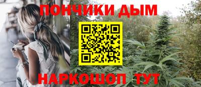 прущие грибы Будённовск