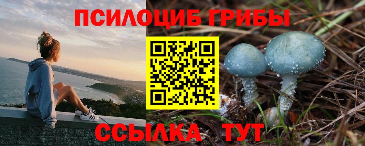 Орёл  Галлюциногенные грибы Cubensis  Вход с VPN 